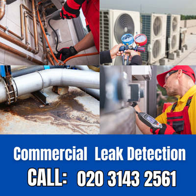 Commercial Leak Detection Services in Lower Kingswood | Lower Kingswood Leak Detection