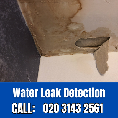 Expert Water Leak Detection Services in Lower Kingswood | Lower Kingswood Leak Detection